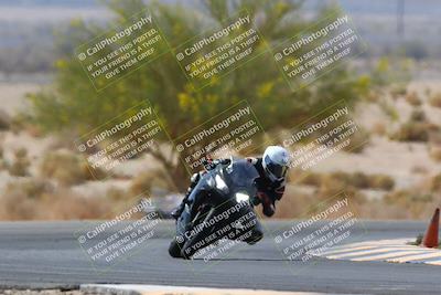 media/Apr-10-2022-SoCal Trackdays (Sun) [[f104b12566]]/Turn 5 Tree of Life (1040am)/